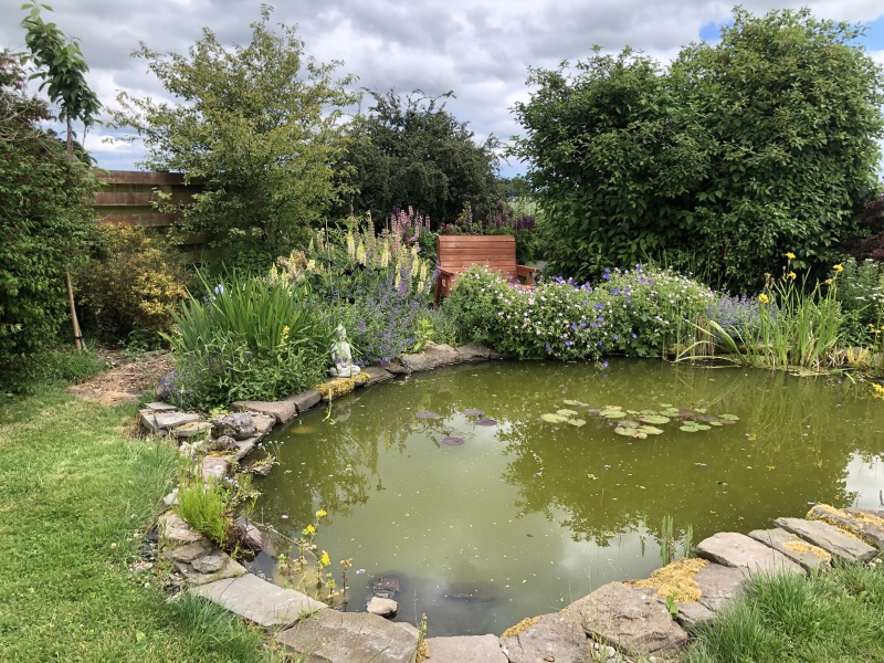 Calling all pond owners