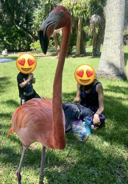 MAFSAUS #14 NO SPOILERS! Back when this was all fields it was about the relationships not THE DRAMA