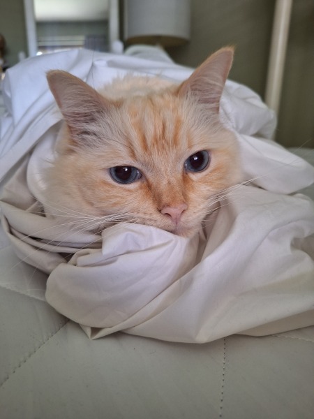 Year Round Nigel Slater discussion thread - Part 4