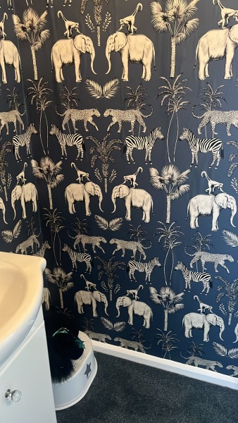 To ask to see your downstairs toilet wallpaper?