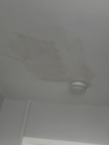 AIBU to doubt the council over damp from the bathroom floor?