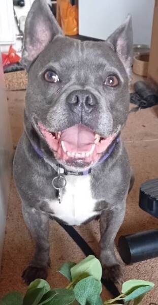 The Continuing Support Thread for Anyone Trying to Lead an Alcohol-Free Life Spring into Summer 2026