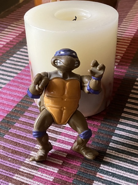 Your house gets broken into , you can only use a toy in your home to defend yourself , which toy are you choosing? are