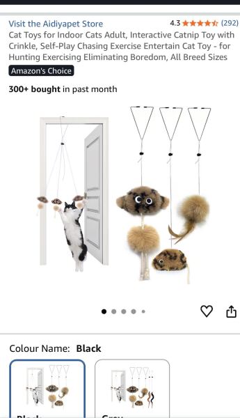 Best Toys for Indoor Cat