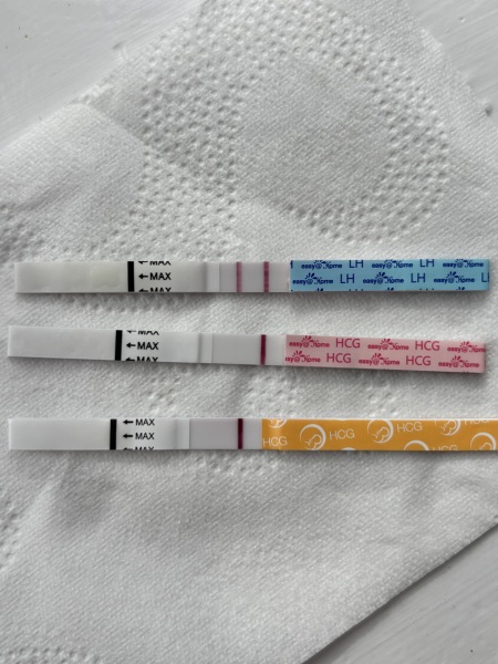 High LH negative HCG