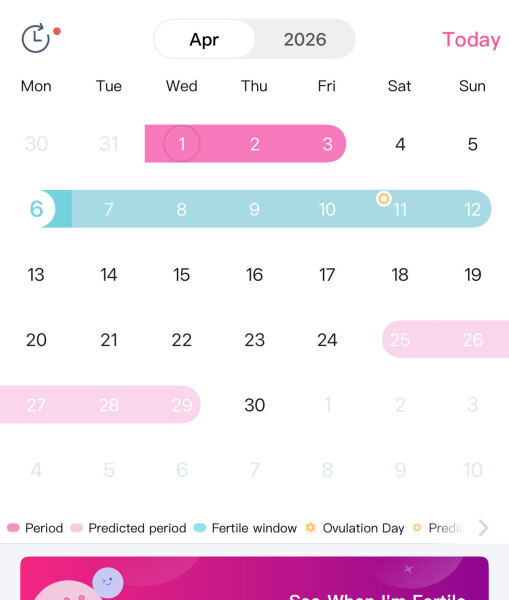 TTC ? Waiting for first cycle after miscarriage