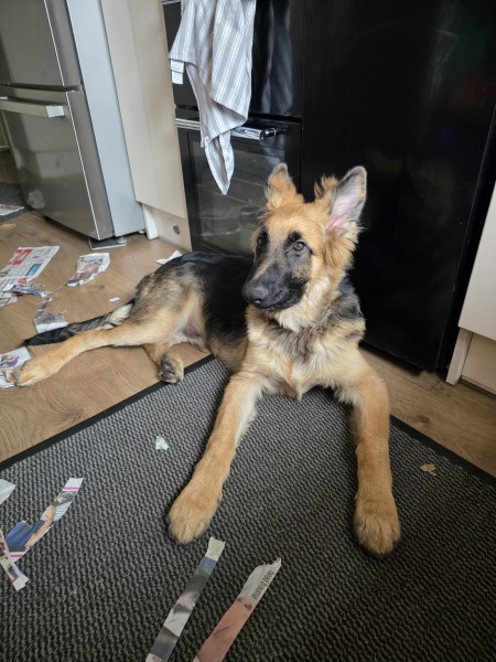 Scent of the day part 8 - the friendly perfumistas will make you smell GREAT!