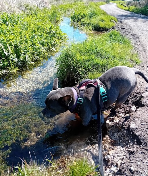 The Continuing Support Thread for Anyone Trying to Lead an Alcohol-Free Life Spring into Summer 2026