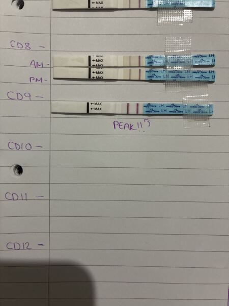 TTC March/April 2026