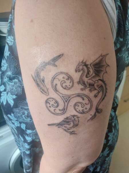 Thread 46 Starmer: Meloj kaj kastoroj sur monbiletoj, arbaro de kolero