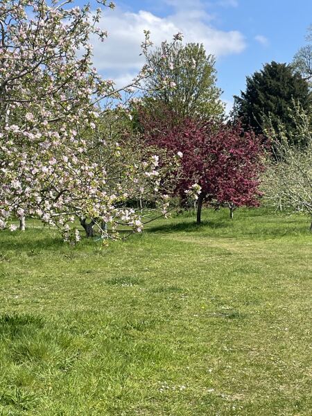 Year Round Nigel Slater discussion thread - Part 4