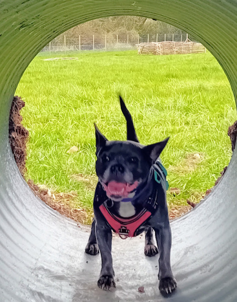 The Continuing Support Thread for Anyone Trying to Lead an Alcohol-Free Life Spring into Summer 2026