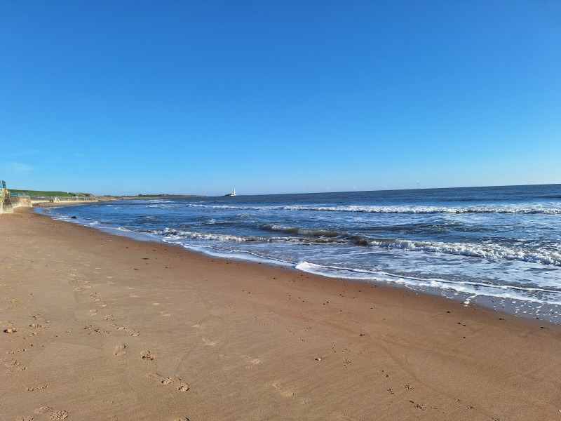 Year round Nigel Slater discussion thread - Part 3