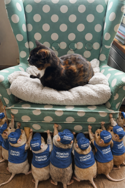 Woolly Hugs. A blanket for lovely wafflenose who has tragically lost her daughter. Can you help us please?