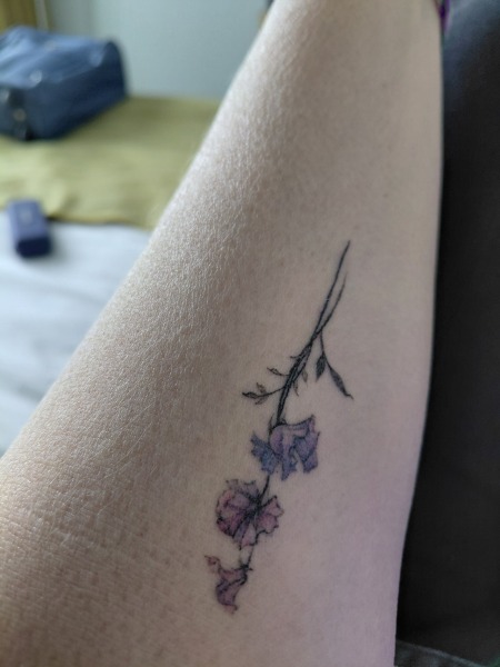 Tattoo journey coming to end