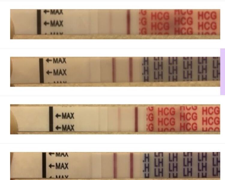 Opk test could I be pregnant or implantion be occurring?…