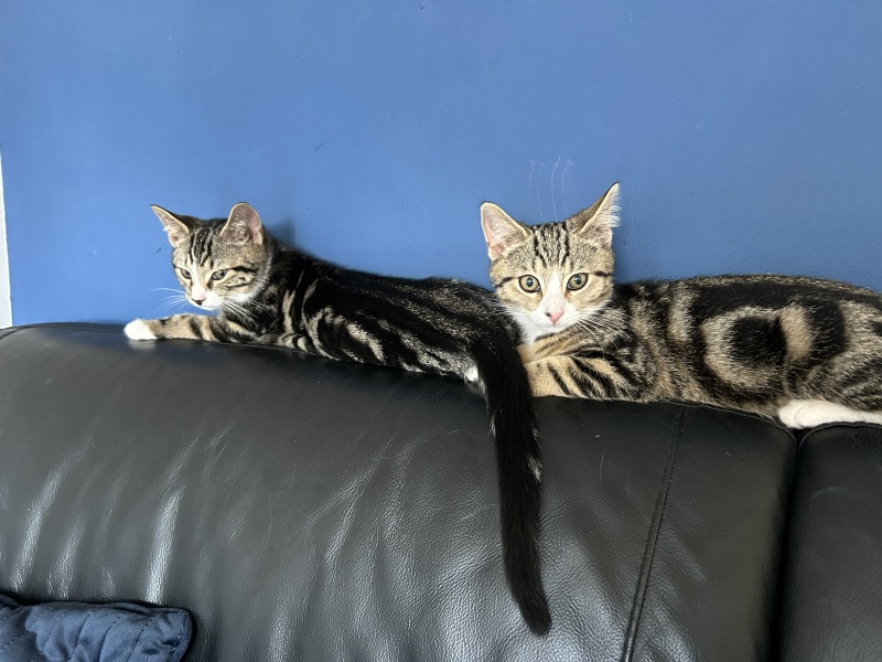 Good Morning Mumsnet! What are you all doing today?