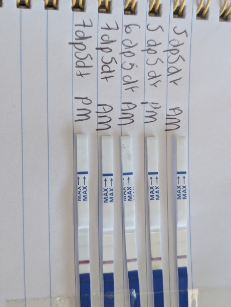 Faint lines on One Step tests during IVF wait
