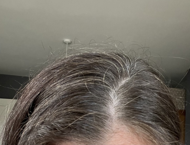 Help from hairdressers- box dye turning greys ginger?