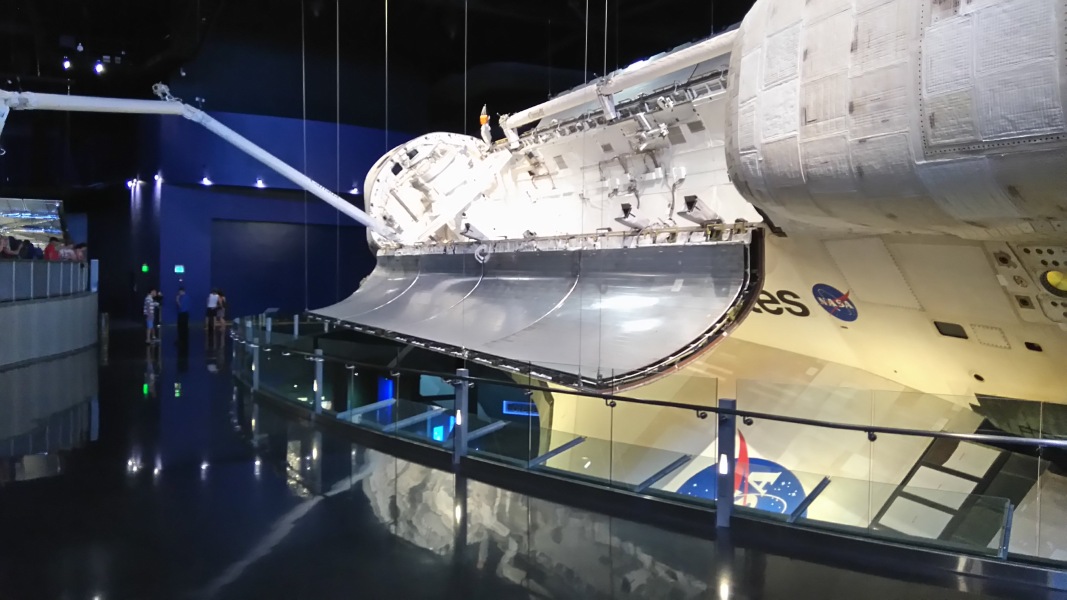 Thread 46 Starmer: Meloj kaj kastoroj sur monbiletoj, arbaro de kolero