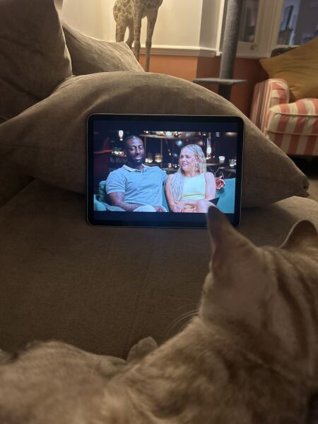 MAFSAUS #16 No Spoilers!!! Bring your bird photos and paintings as the onscreen drama is losing its’ appeal…