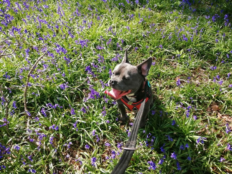 The Continuing Support Thread for Anyone Trying to Lead an Alcohol-Free Life Spring into Summer 2026