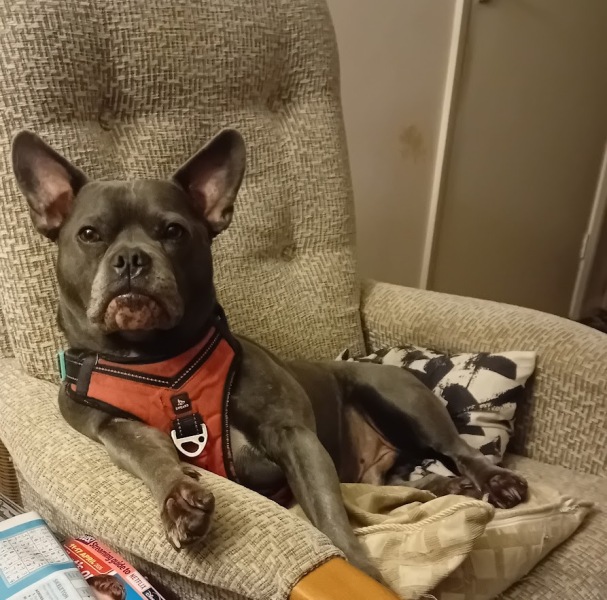 The Continuing Support Thread for Anyone Trying to Lead an Alcohol-Free Life Spring into Summer 2026