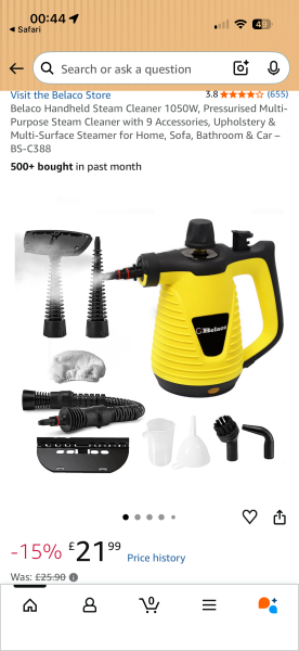 Steam cleaner recommendations