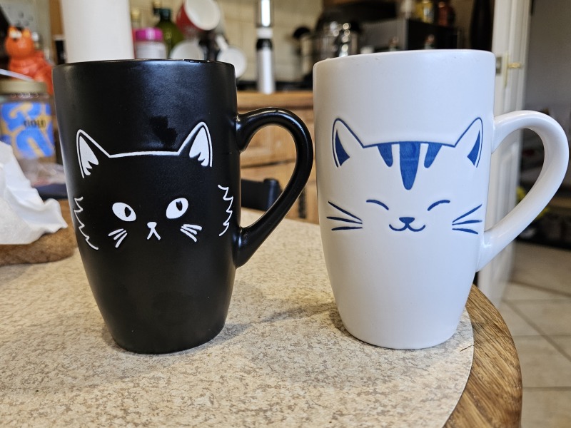 Carry On Catting - the Excellent Cats do what they do best