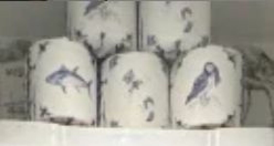 To ask to see your downstairs toilet wallpaper?