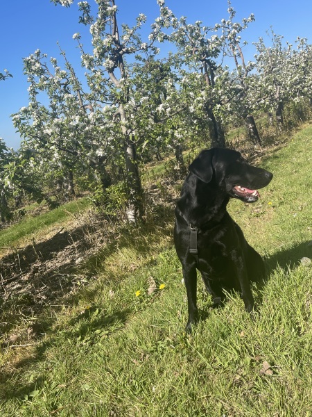 Beyond Adolescence and General Chit Chat - part 3