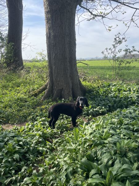 February faffing, wig mischieving, pancake stuffing, bargain gymnastics and looking forward to Spring Shenanigans ❤️