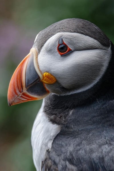 MAFSAUS #14 NO SPOILERS! Back when this was all fields it was about the relationships not THE DRAMA