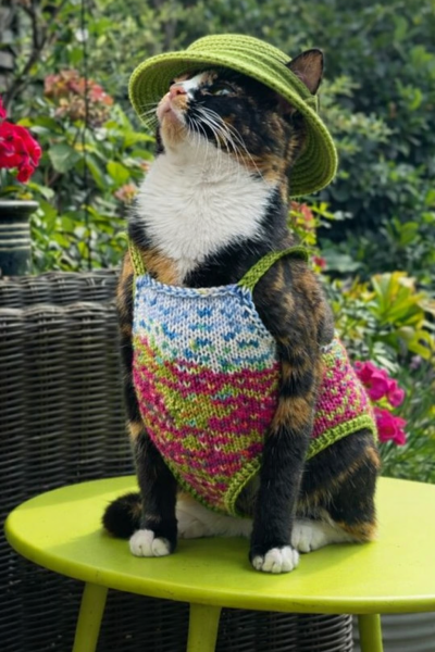 Part 2. Our blanket making for lovely waffle heads into its final stages.