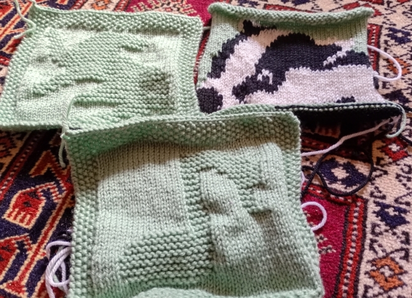 Woolly Hugs. A blanket for lovely wafflenose who has tragically lost her daughter. Can you help us please?