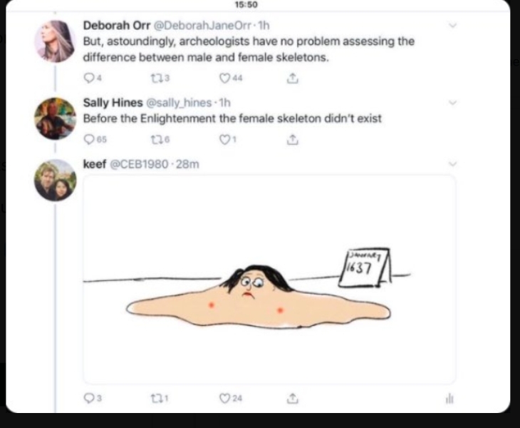feminism or transphobia?