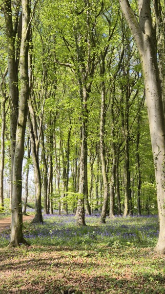 Come and tell us your dull and unexciting news 35: Calmly through the day