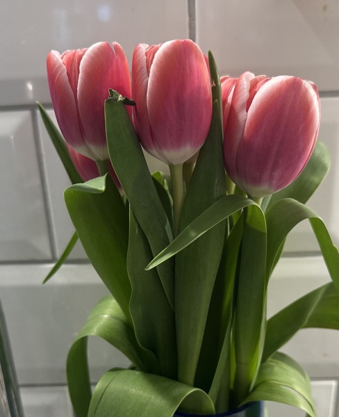 Year round Nigel Slater discussion thread - Part 3