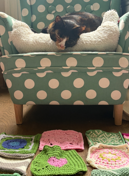 Part 2. Our blanket making for lovely waffle heads into its final stages.