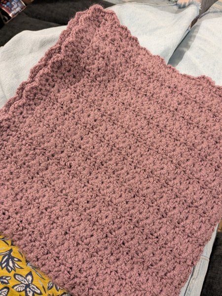 The Bluestocking: To the moon and back gerbil style.