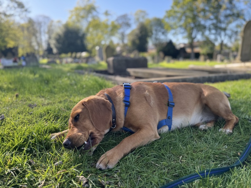 Beyond Adolescence and General Chit Chat - part 3