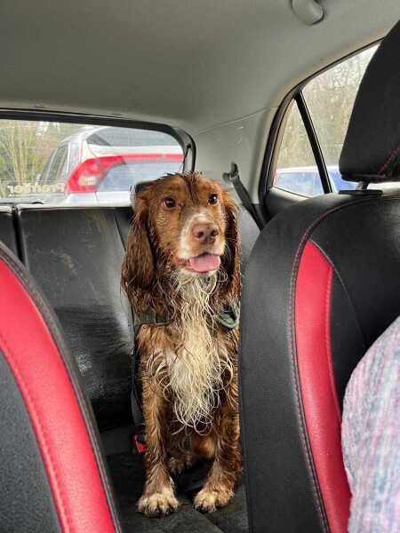 Beyond Adolescence and General Chit Chat - part 3