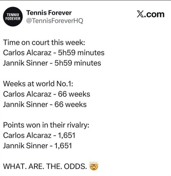 TENNIS: this could be Rotterdam or anywhere