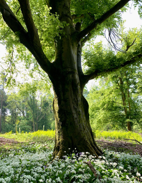 Part 2. Our blanket making for lovely waffle heads into its final stages.