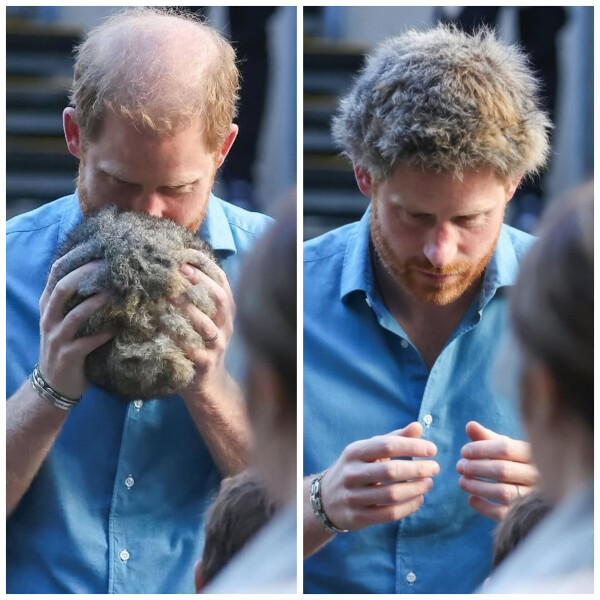 Harry and Meghan's Australian jaunt  -part 3 it's nearly over!