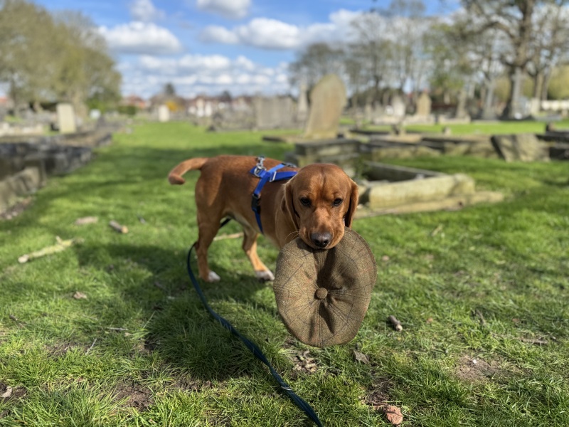 Beyond Adolescence and General Chit Chat - part 3