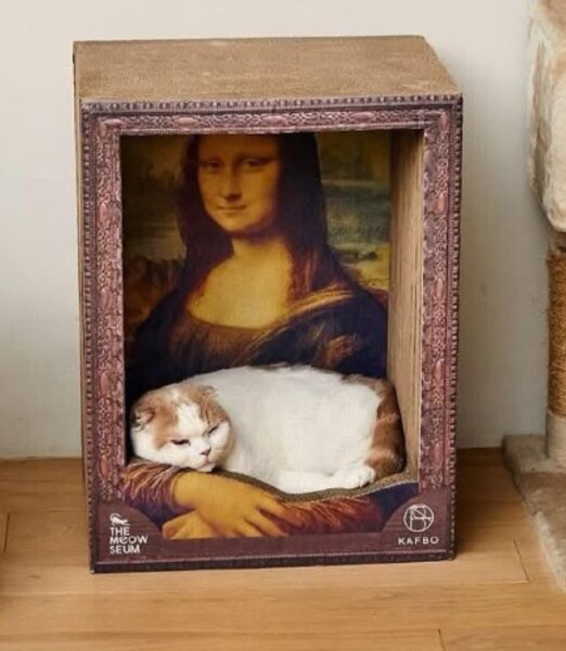 Carry On Catting - the Excellent Cats do what they do best