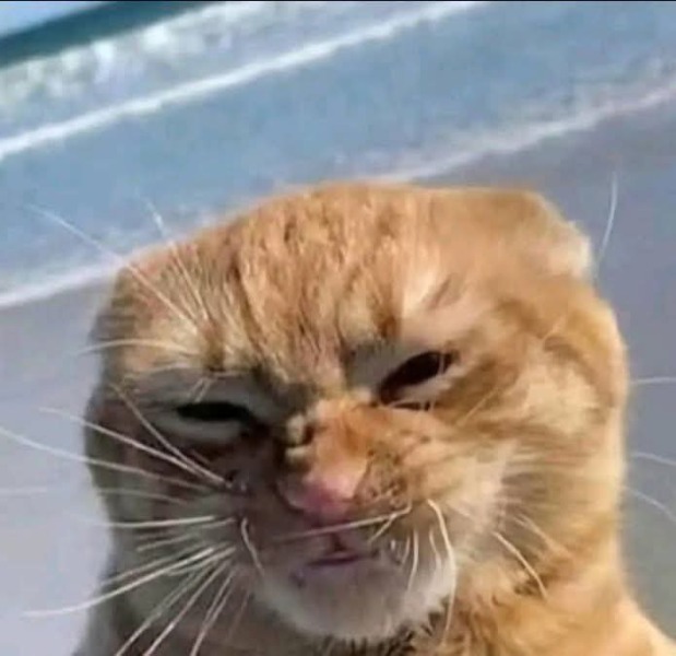 AIBU to move on after several odd and insensitive comments?