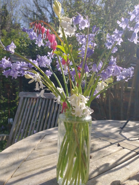 What are you up to today if you have a chronic illness?  Thread 7