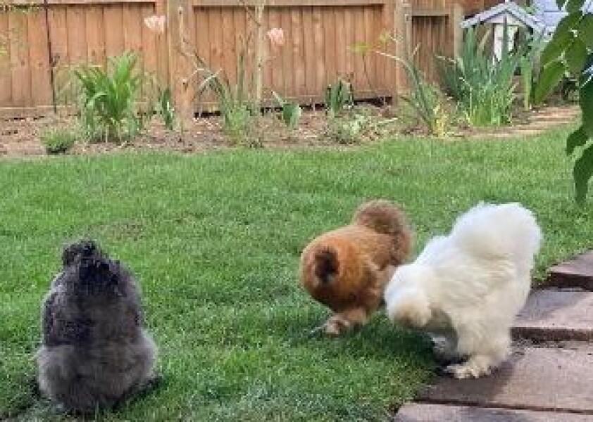 The Great Cancer Recovery part 5